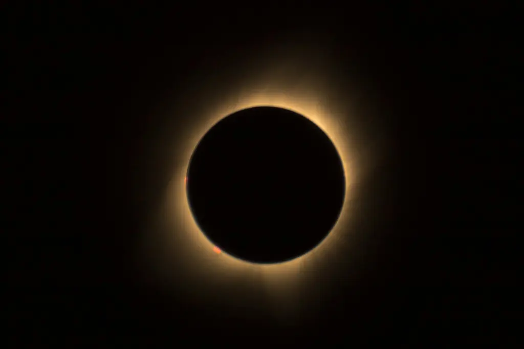 Happy Eclipse from Swallowed Sun Books
